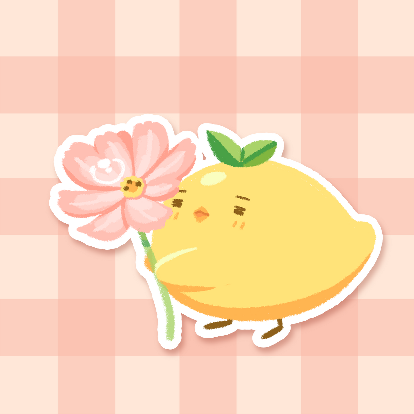 mango's favorite things stickers🐥🥭✨